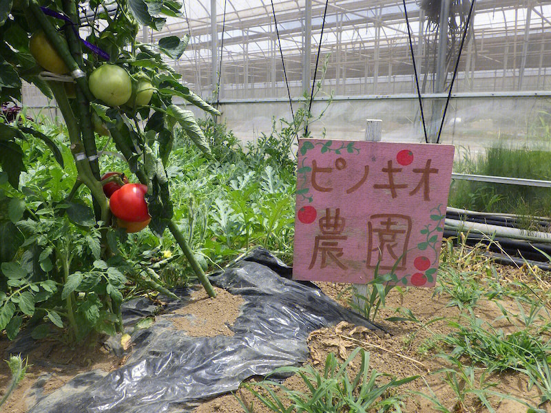 游戏开心农场游戏大全_小游戏开心农场_游戏开心农场