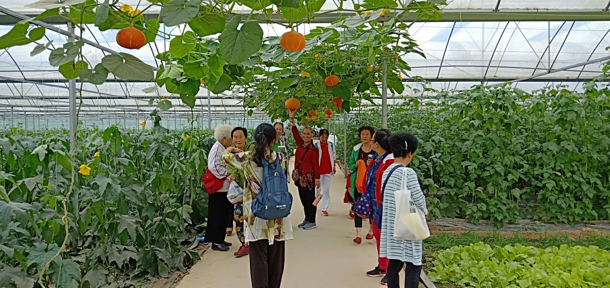 游戏开心农场_小游戏开心农场_游戏开心农场游戏大全