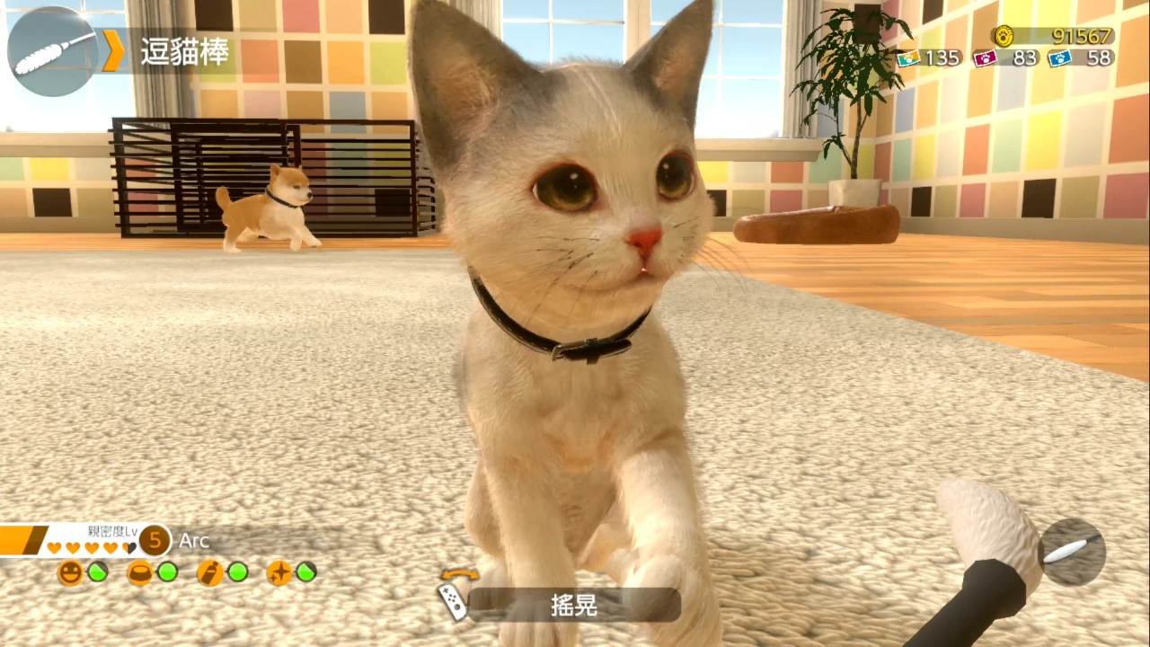 小小精灵最实用的精灵_小小精灵什么宠物好_小小精灵精灵图鉴