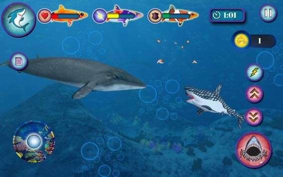 大金鲨游戏：成为海底霸王的秘密武器