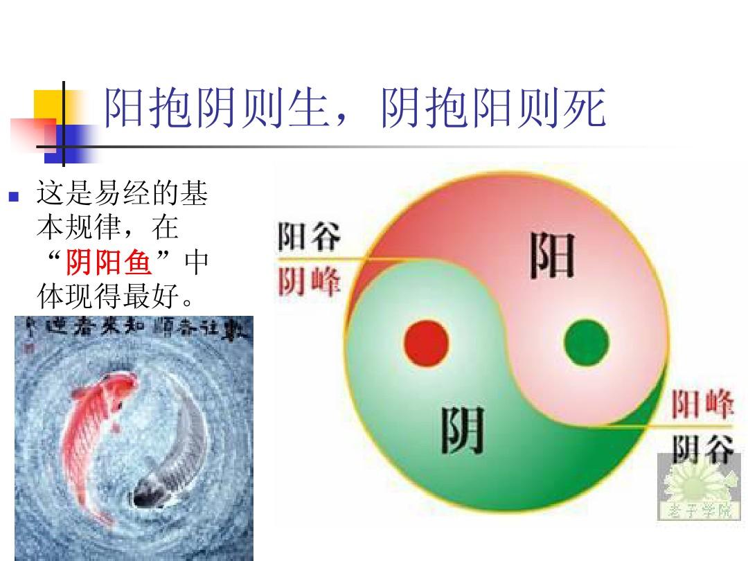 阴阳大战记游戏_阴阳大战记游戏攻略_阴阳大战记游戏机