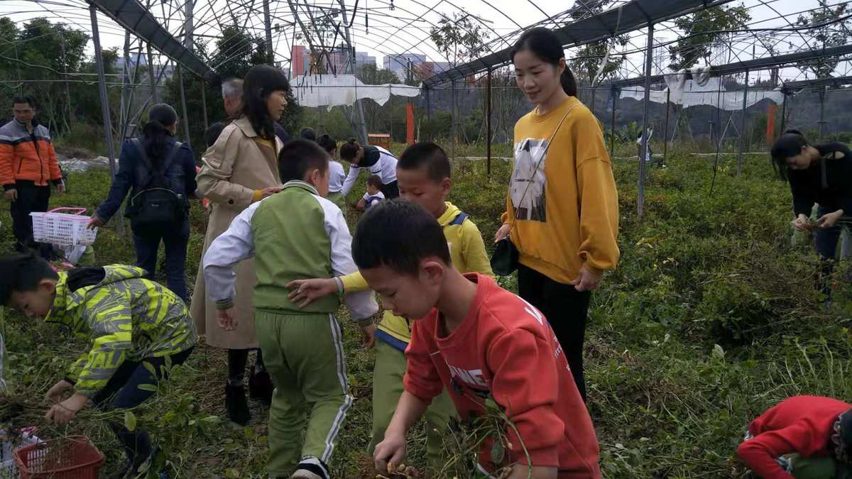 宿州我家游戏_宿州吃喝玩乐的平台_宿州市游戏