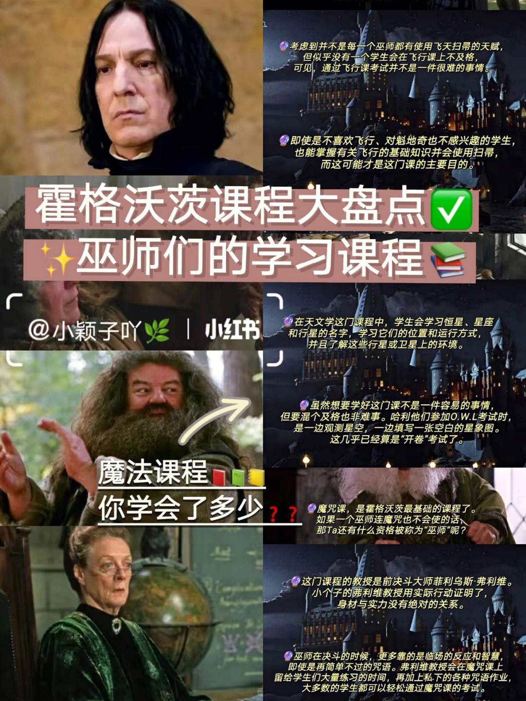 神奇冒险，网页游戏学校