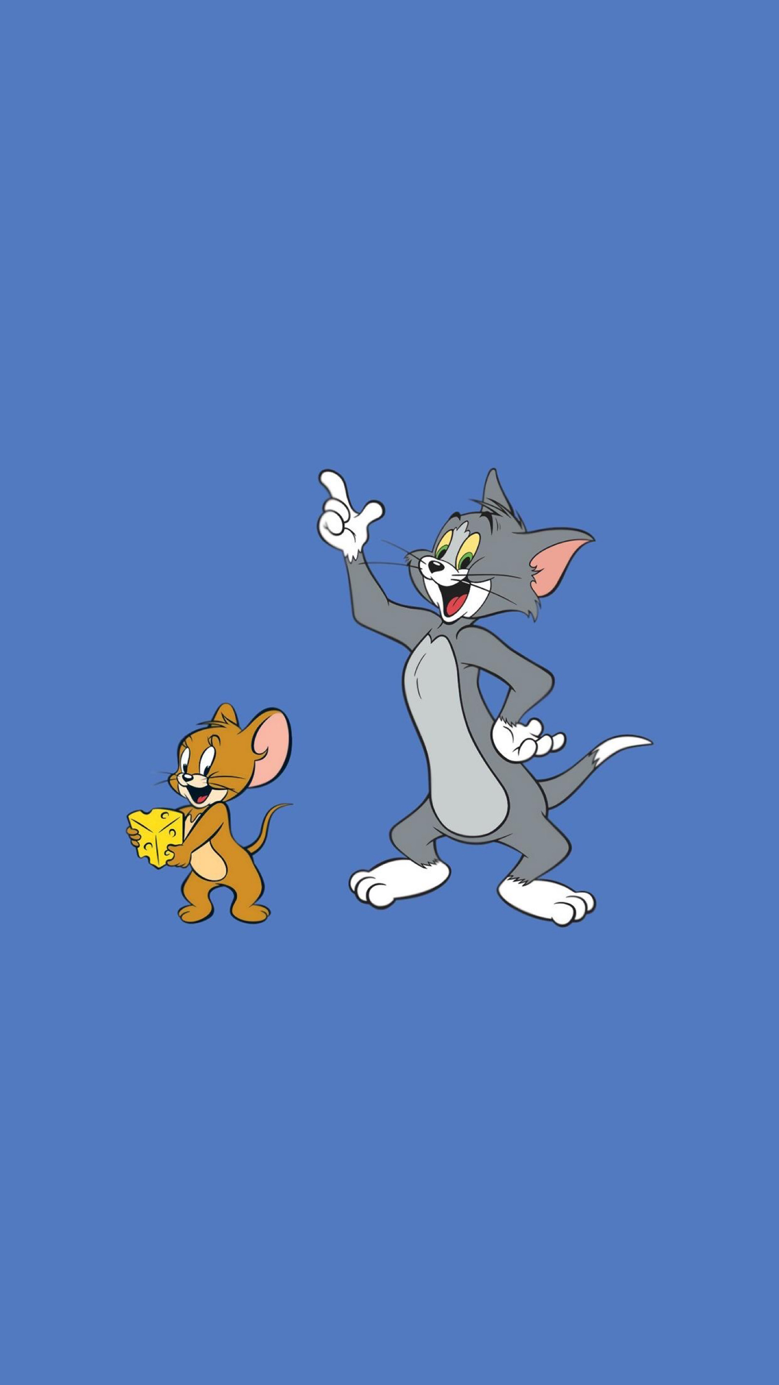 老鼠猫的游戏_下载猫和老鼠游戏大全_猫老鼠小游戏