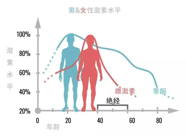 性激素塑造性别特征与行为的游戏