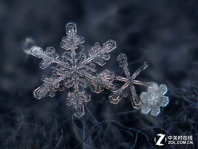 雪花秀图片套装介绍_qq游戏照片秀雪花_雪花秀logo图片在哪个位置