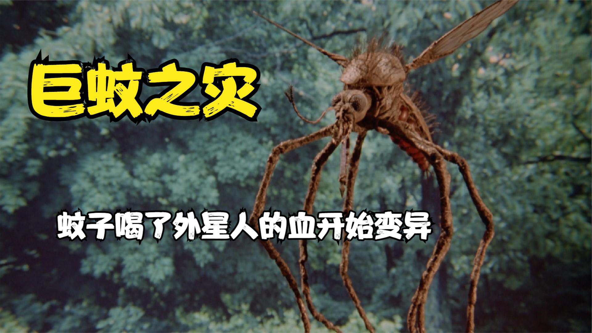 村庄日记2破解版_村庄日记2_村庄日记破解版