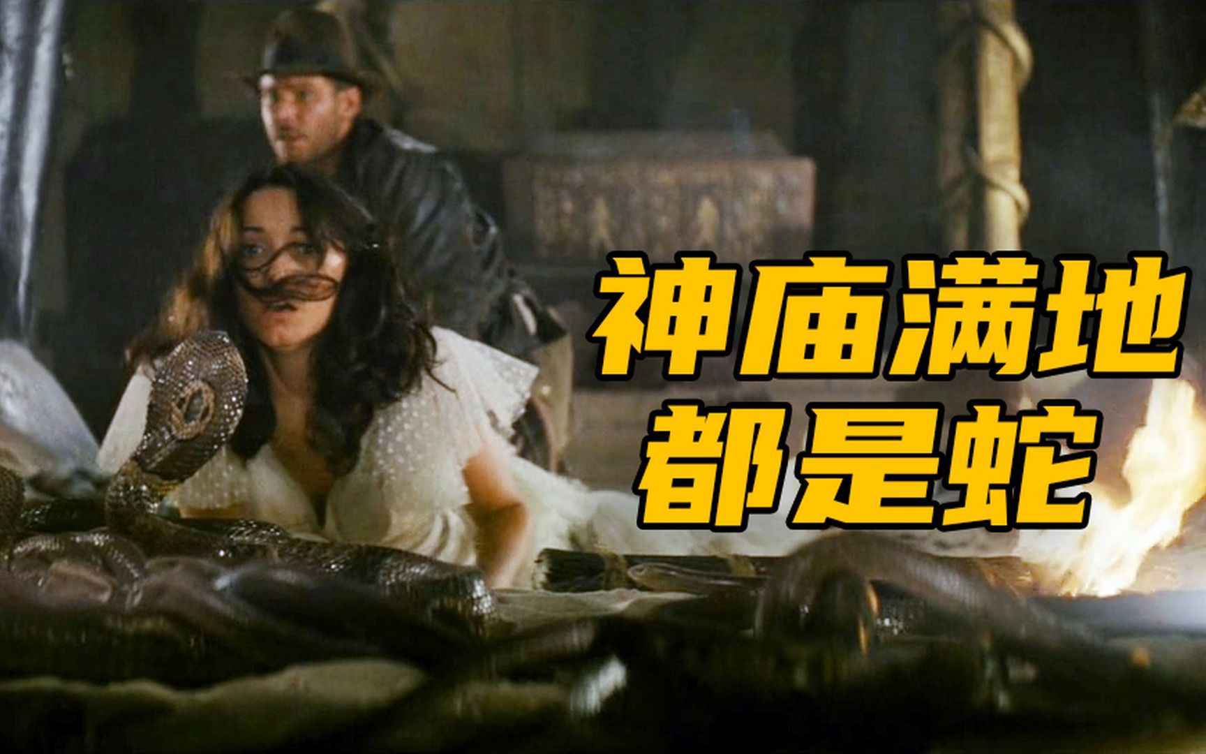 磁力天堂，追剧看电影神奇网站！