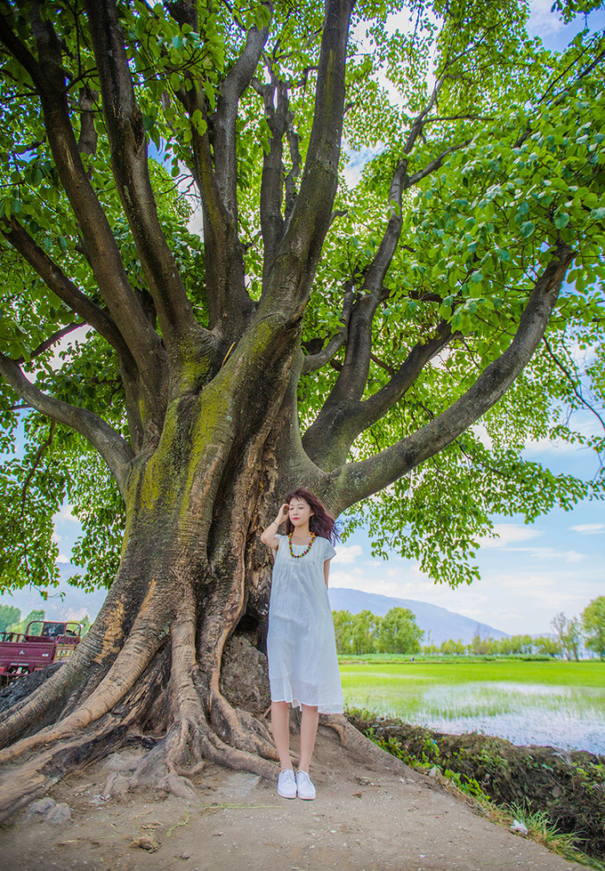 那个夏天叫离别头像_夏天的风叫什么风?_有部电影女主角叫夏天