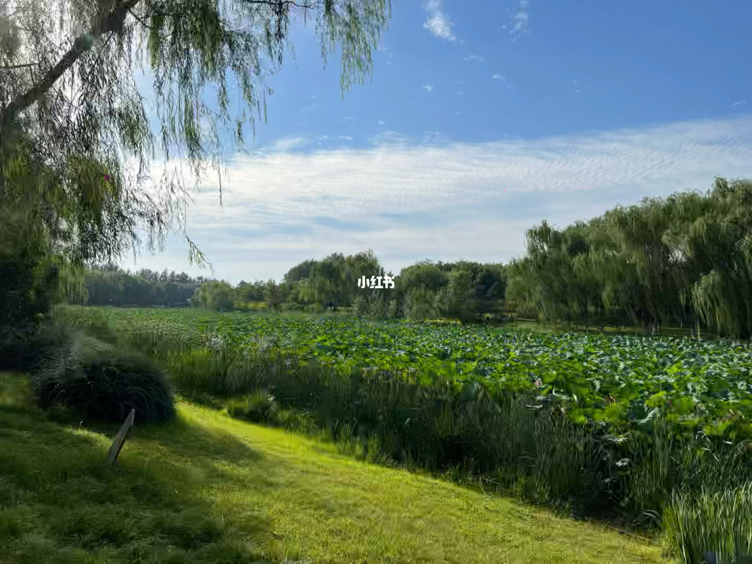 有部电影女主角叫夏天_那个夏天叫离别头像_夏天的风叫什么风?