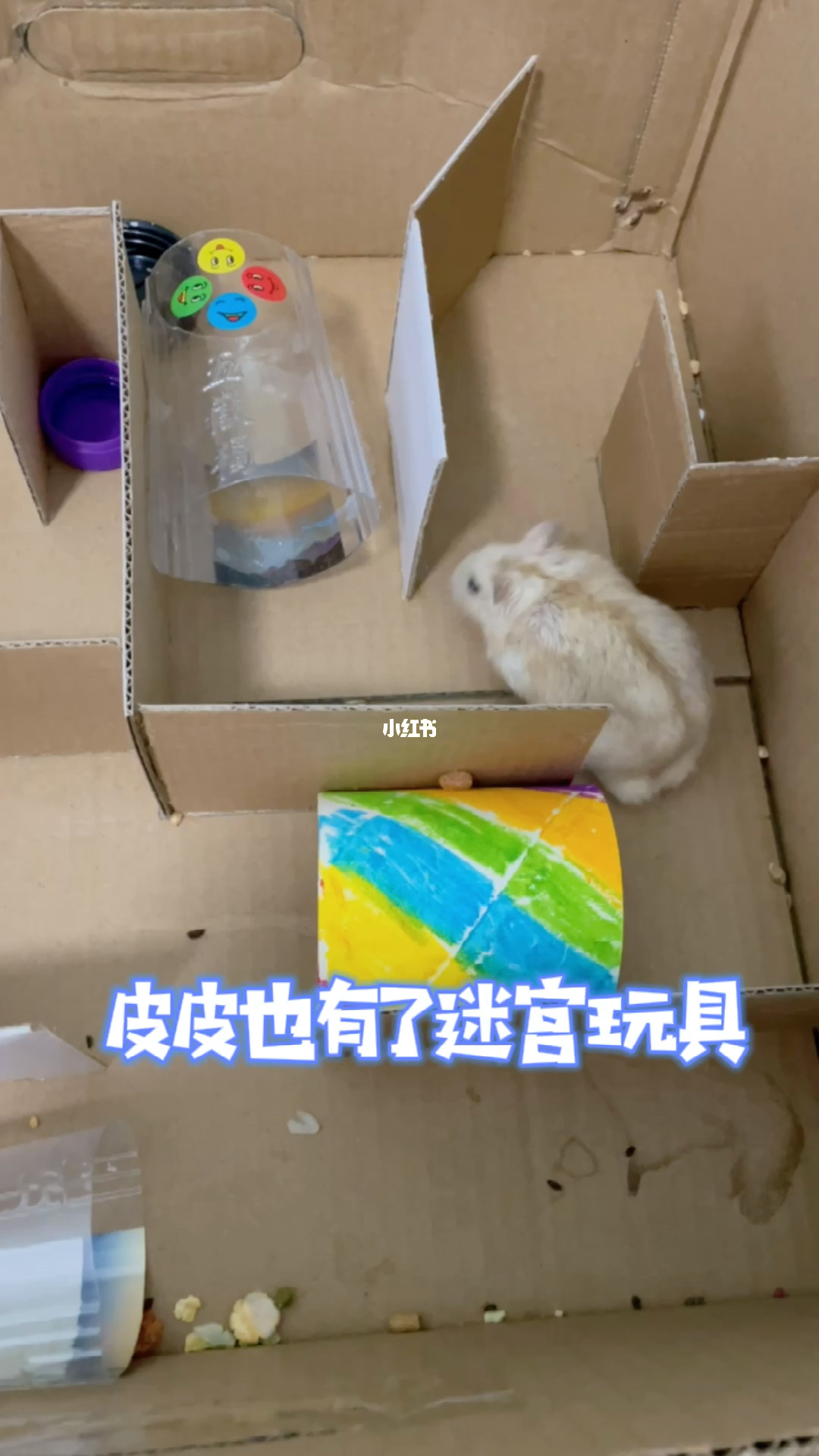 仓鼠迷宫_迷宫仓鼠迷宫小仓鼠图片_迷宫仓鼠走迷宫