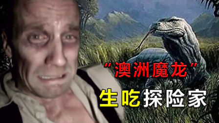 澳洲魔蜥多少钱一只_澳洲魔蜥_澳洲魔蜥生存方式的启示
