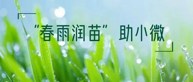 春雨平台赌博_春雨平台_春雨平台破解