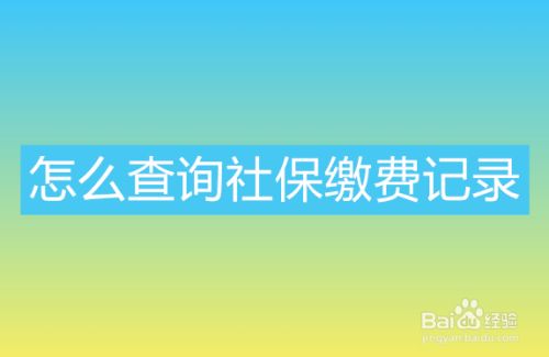 社保个人app下载_社保个人交好还是公司代缴好_个人社保APP