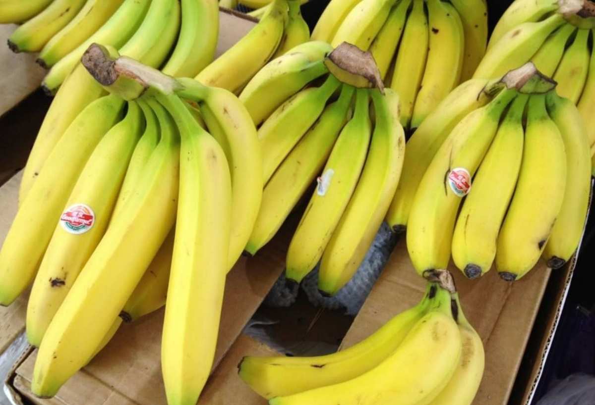 香蕉网在线_香蕉网在线_香蕉网在线