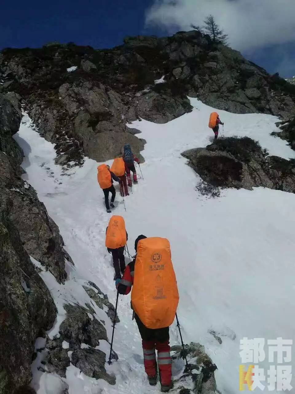 山林风雪间_山林风雪间小说苏婉玲陆仰_风雪山林