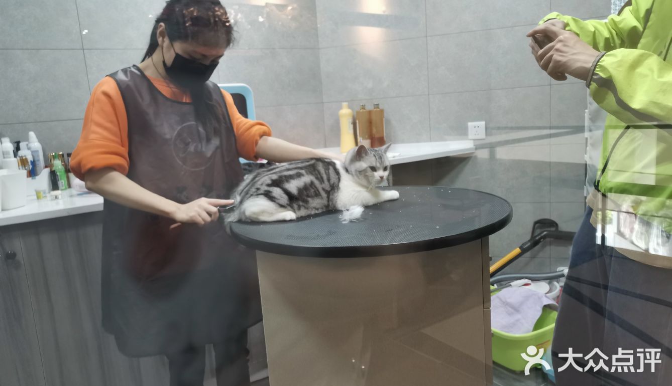 猫咪社区2.0_猫咪社区app病毒_猫咪社区最新域名是多少