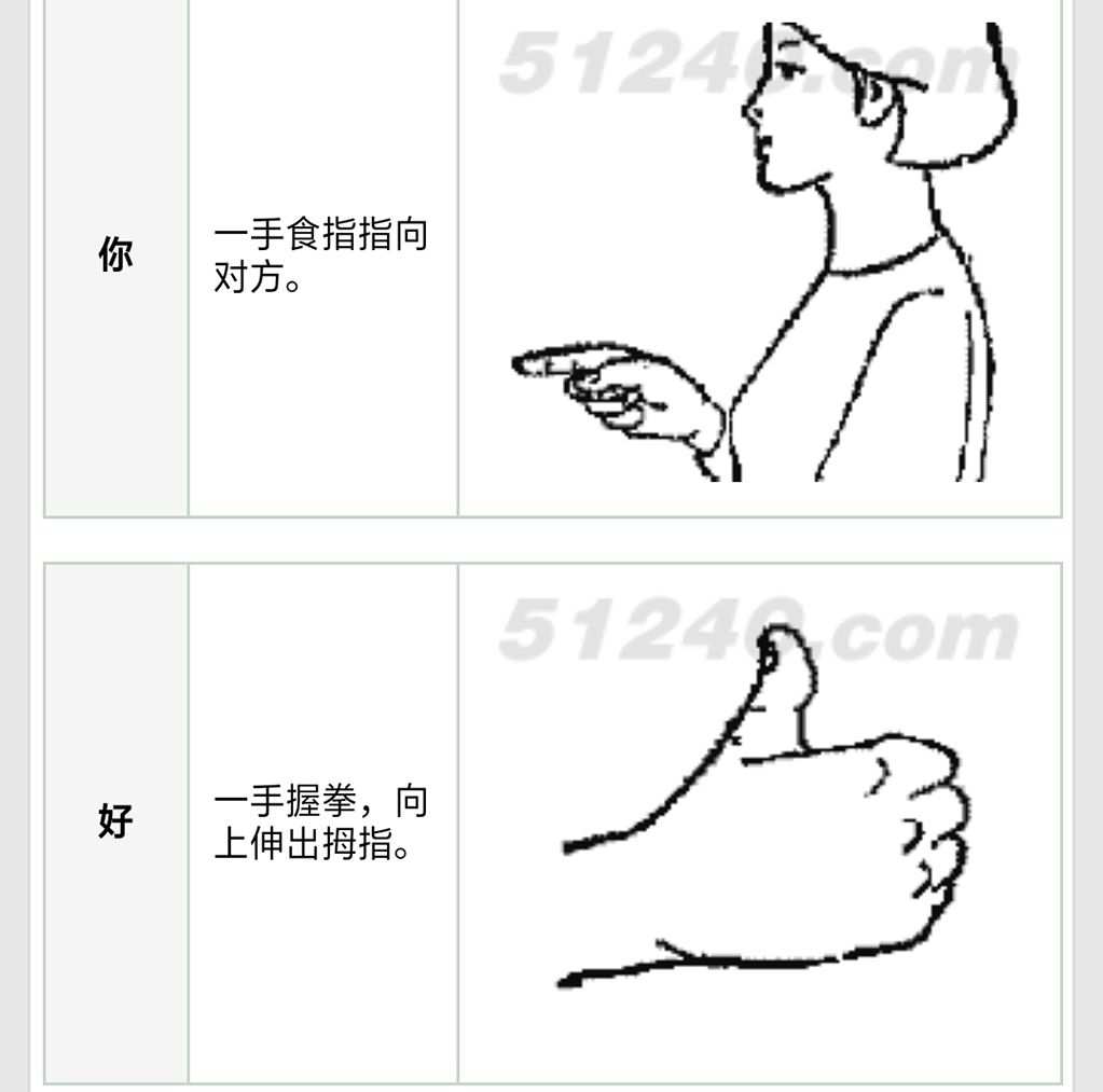 中国手语_手语中国人视频_手语中国怎么表示