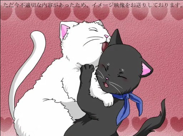猫研社攻略：绝密秘籍大公开