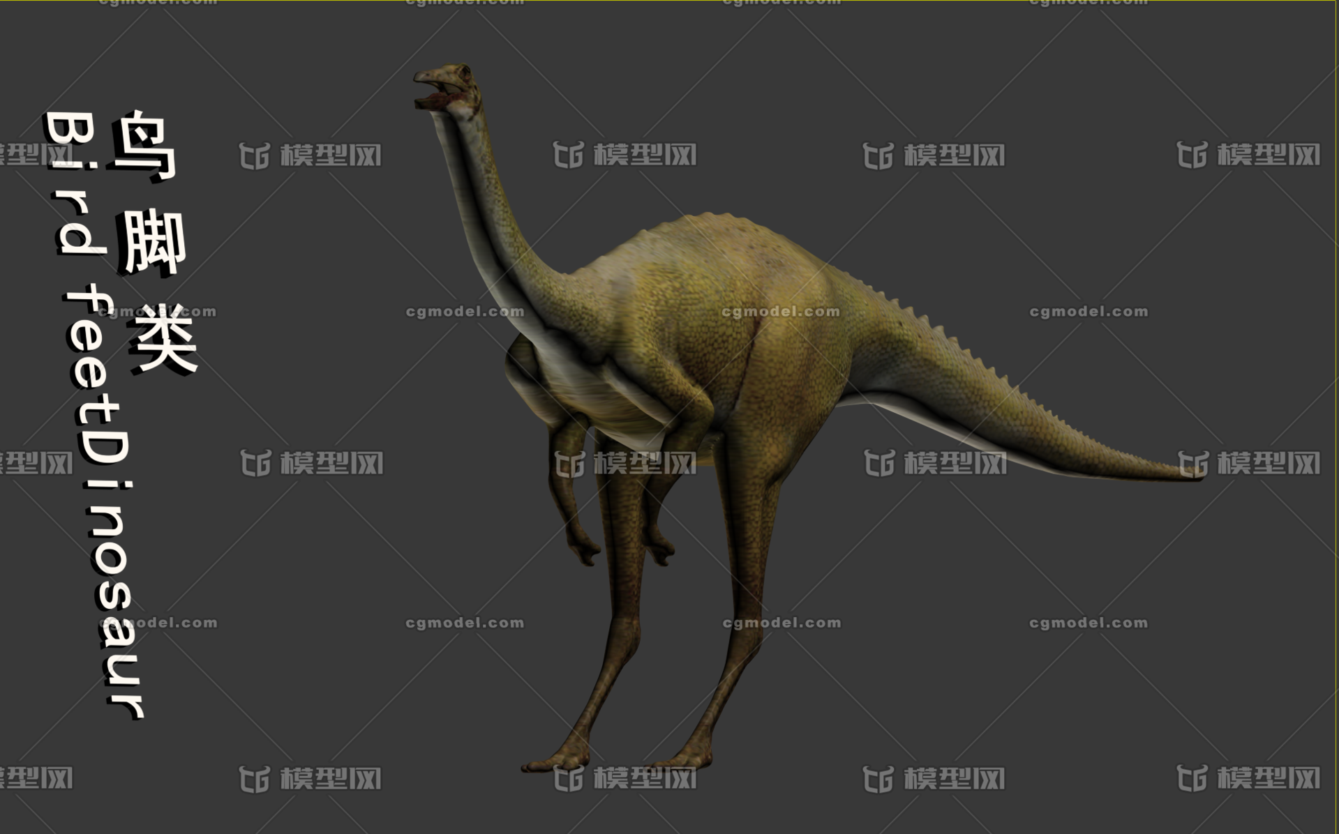 恐龙介绍资料_恐龙介绍及图片分类_恐龙介绍