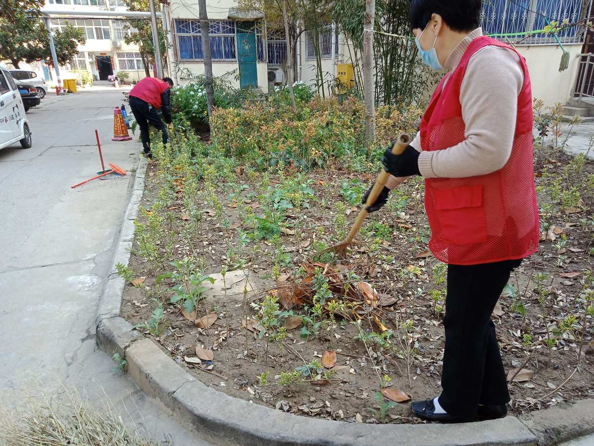 重建家园_重建家园脚本辅助器_重建家园下载