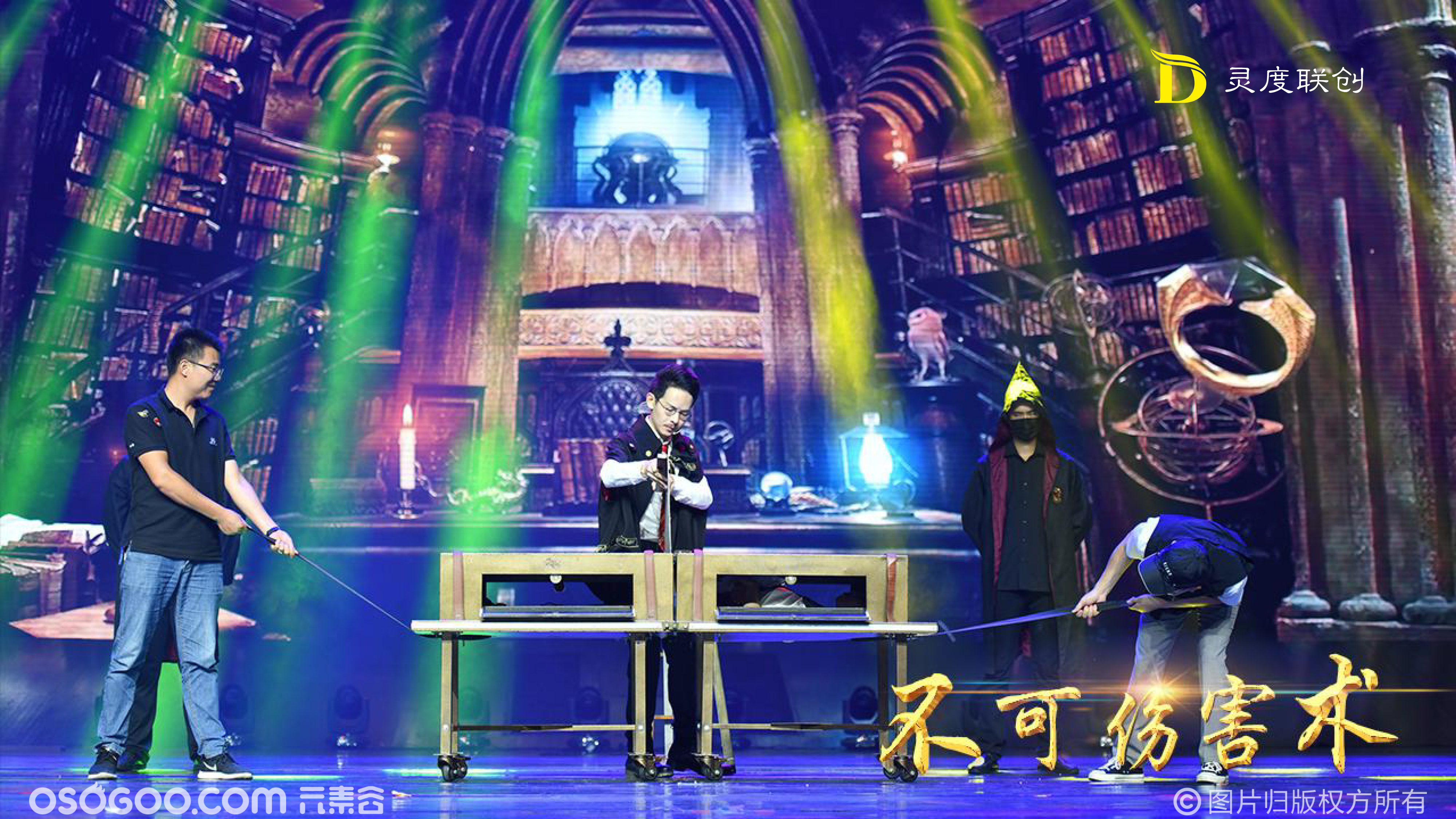 埃罗尔_埃罗尔弗林_埃罗尔猫头鹰