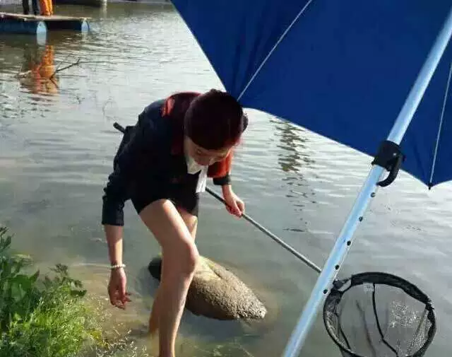浪涛汹涌，捕鱼平台等你来！