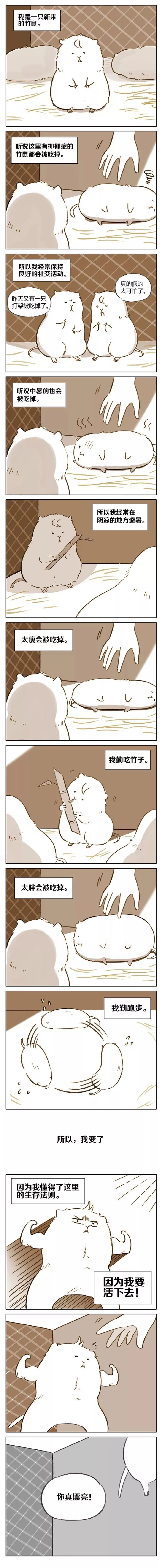 竹鼠漫画官方下载_竹鼠漫画下载高版本_竹鼠漫画