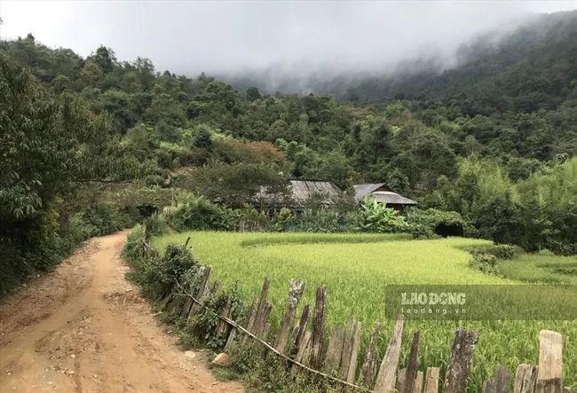 星露谷物语艾芙在哪里_星露谷物语艾芙洛喜好_星露谷物语艾芙琳