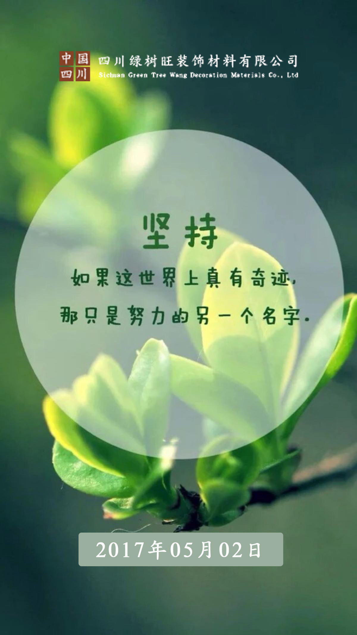 温暖滋补，每个人都需要一碗鸡汤