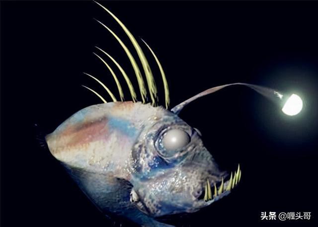 风暴逆鳞在哪里_风暴逆鳞任务在哪里接_风暴逆鳞入场地点在哪里