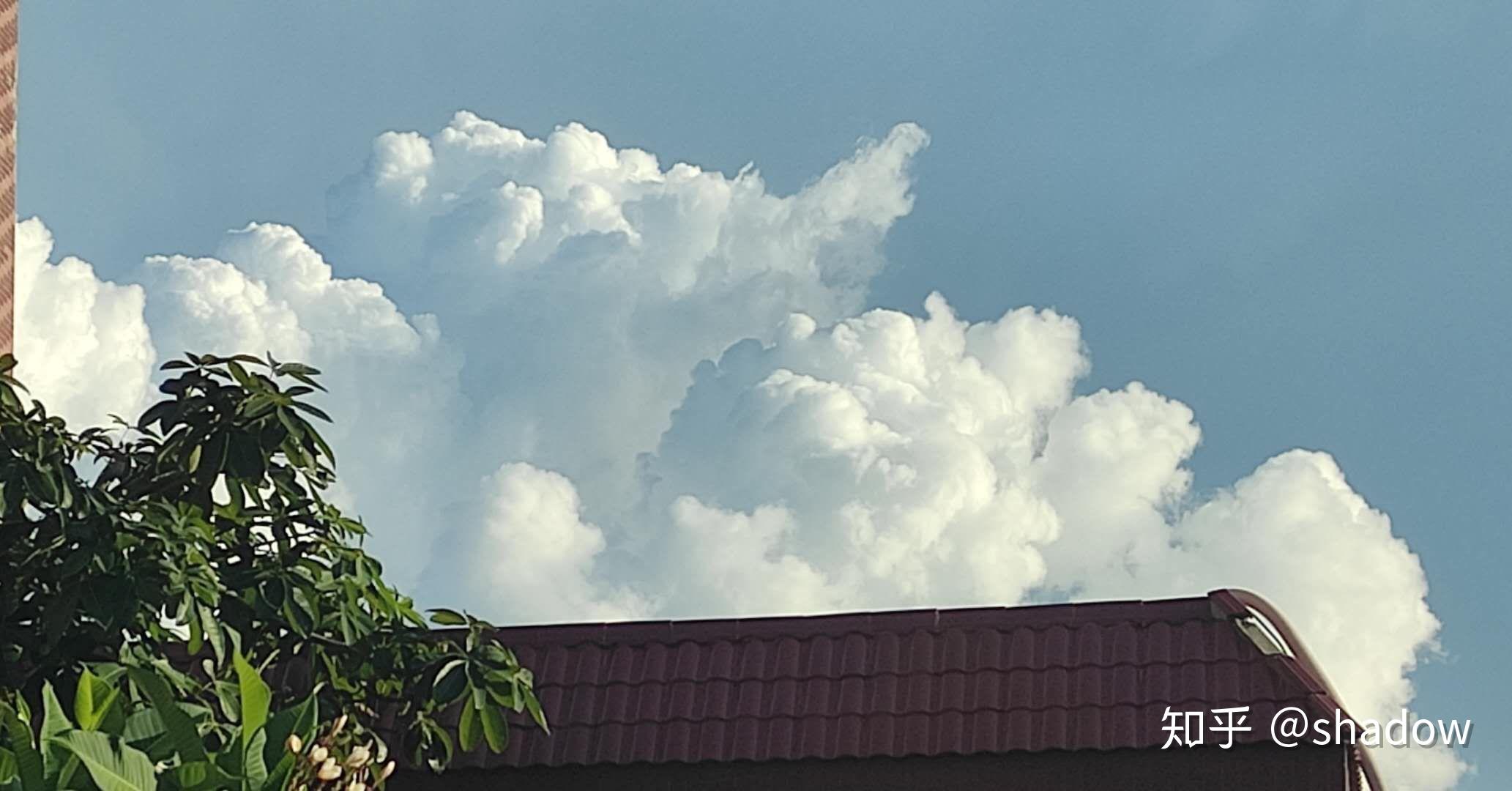 雷樱_雷樱图片_雷樱下载