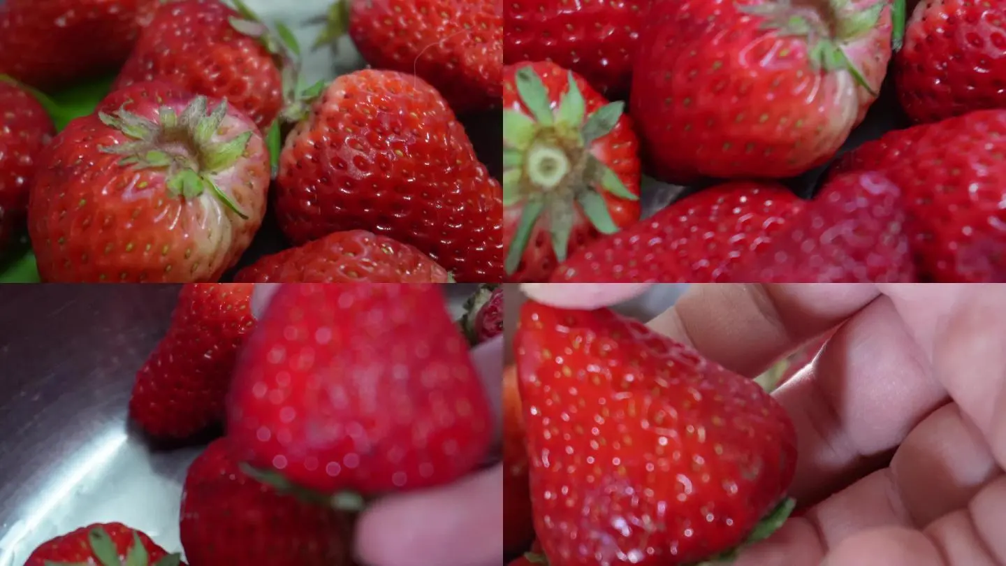 草莓视频丝瓜_视频丝瓜草莓在线观看_丝瓜草莓视频安装下载官网