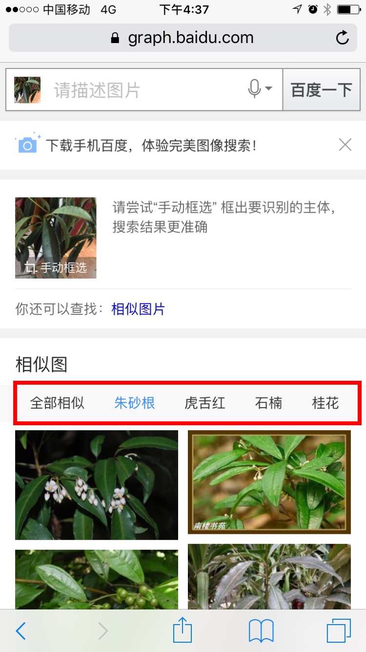 拍照识别植物的小程序_百度识花君拍照识别植物_拍照识别植物的app软件下载