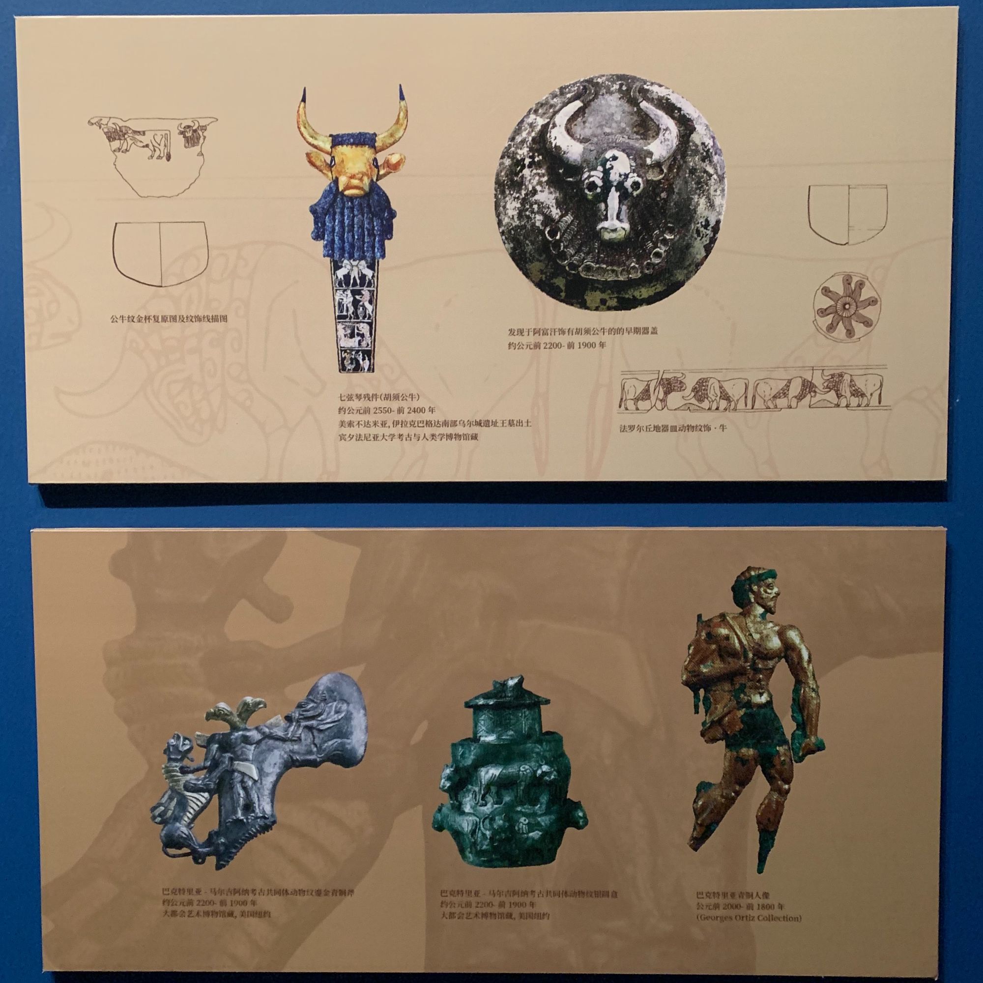 挖地小子工作人员_挖地小子_挖地小子下载安装