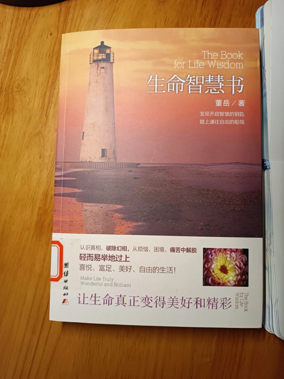 塔格奥的化身_塔格奥的化身技能搭配_塔格奥的伪装