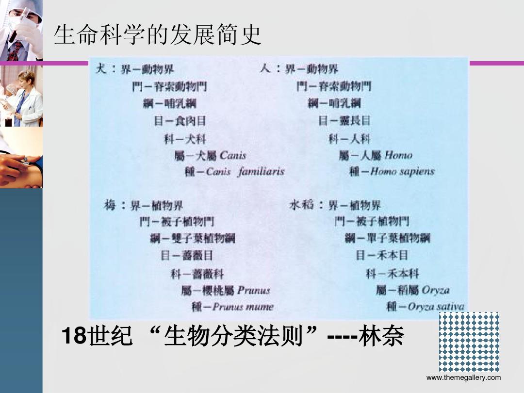 生化金字塔机关探秘_生化金字塔_生化金字塔无敌点