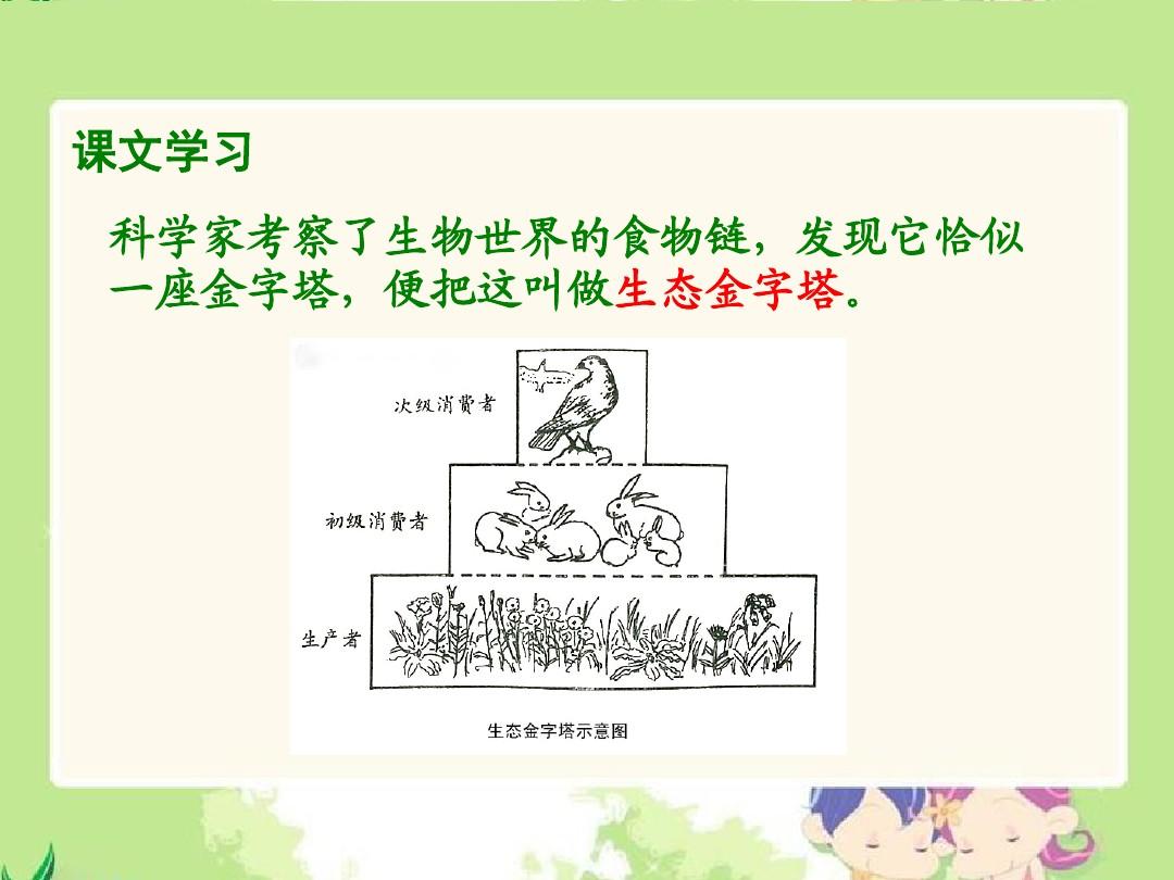 生化金字塔机关探秘_生化金字塔无敌点_生化金字塔