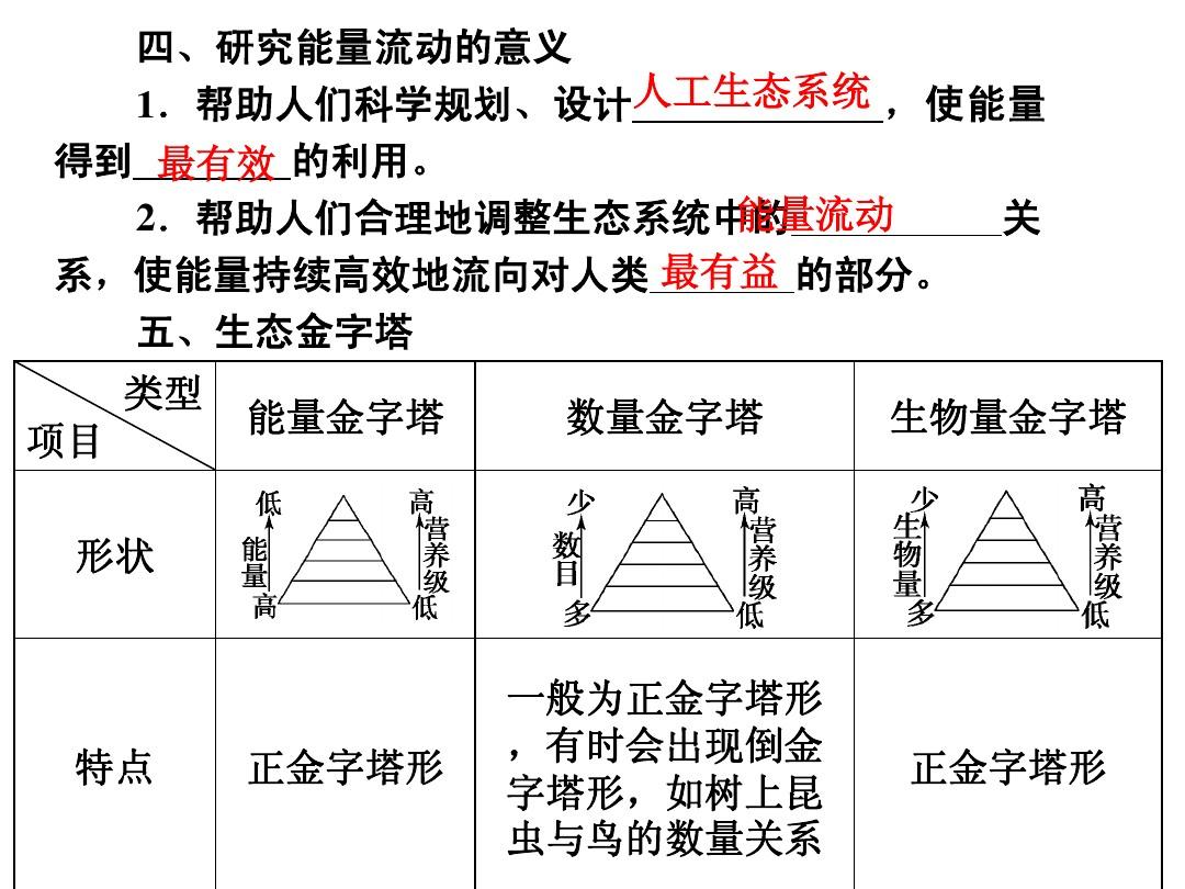 生化金字塔机关探秘_生化金字塔_生化金字塔无敌点