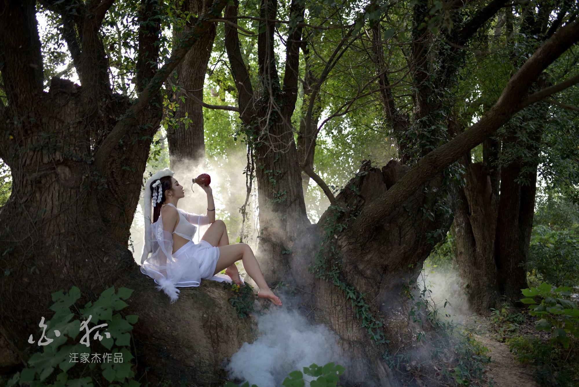 白狐小阿枫_白狐小阿枫完整版_小白狐
