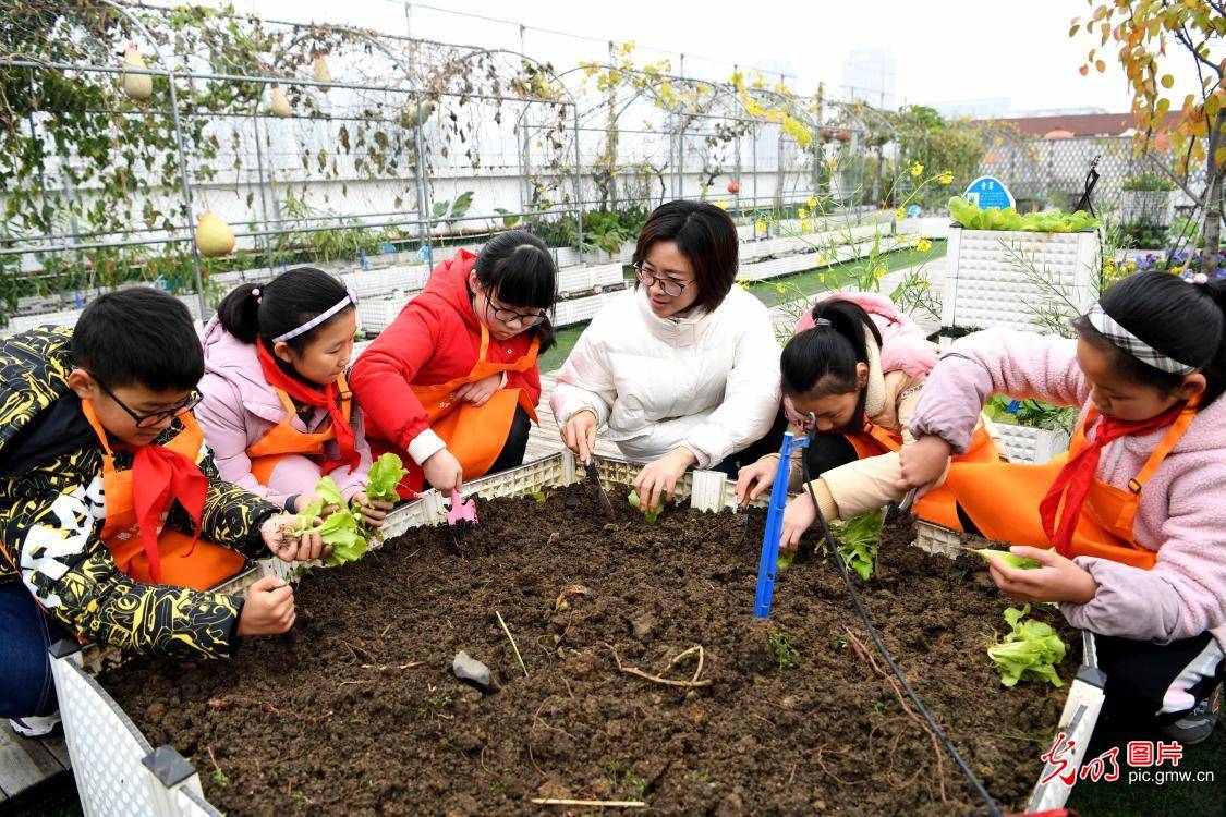 qq农场手机版_手机qq农场在哪里_农场手机游戏策划案