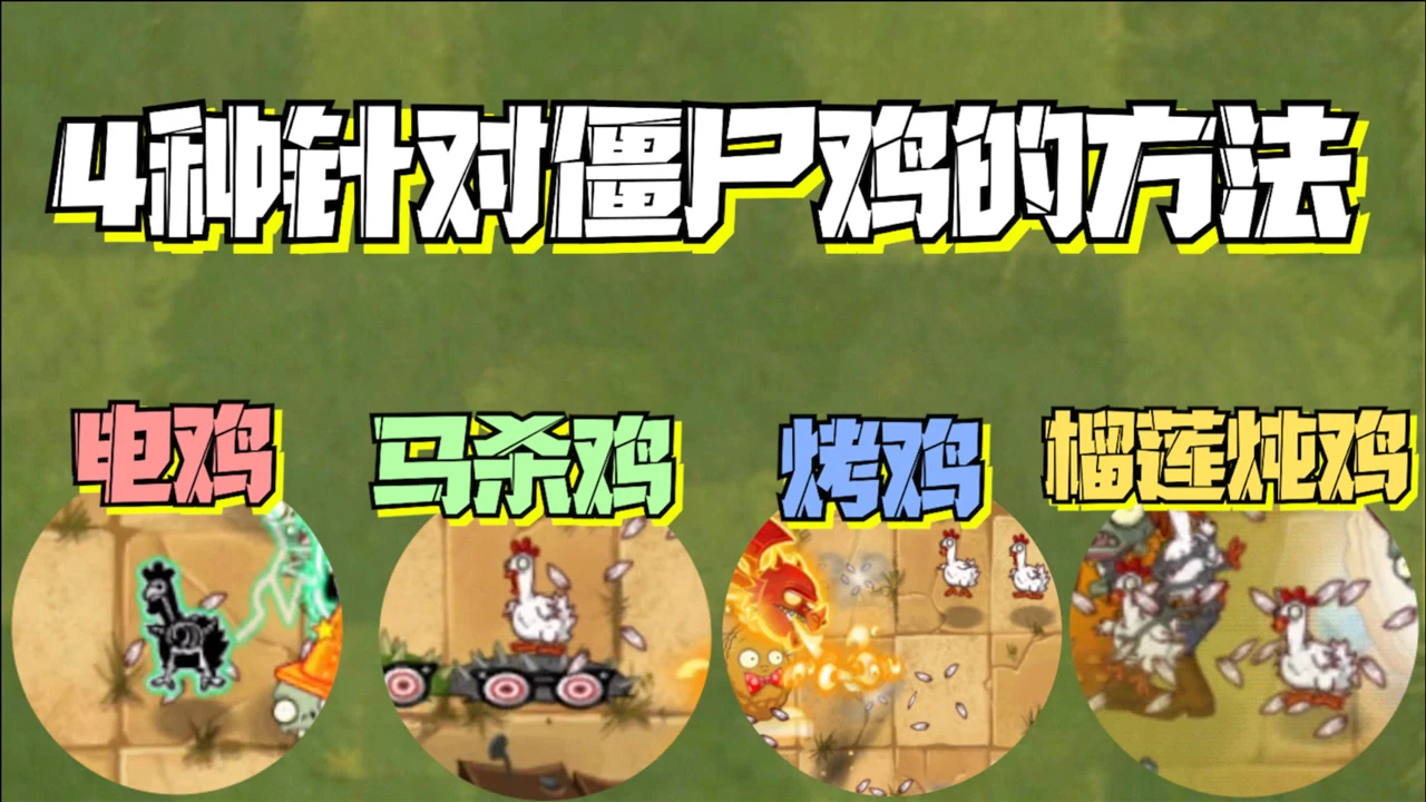 僵尸鸡怎么对付_僵尸鸡_僵尸鸡吃了有危害吗