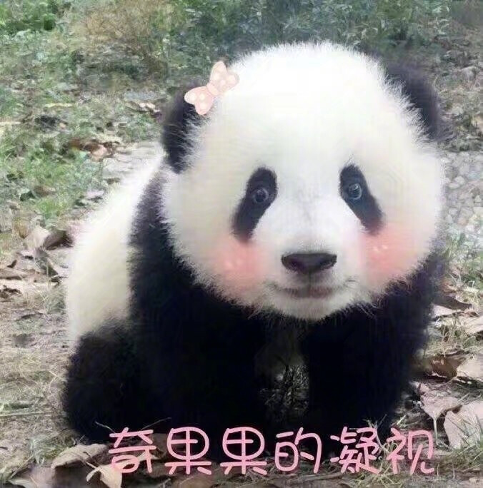 影视沙雕名场面_沙雕影视_影视沙雕头像