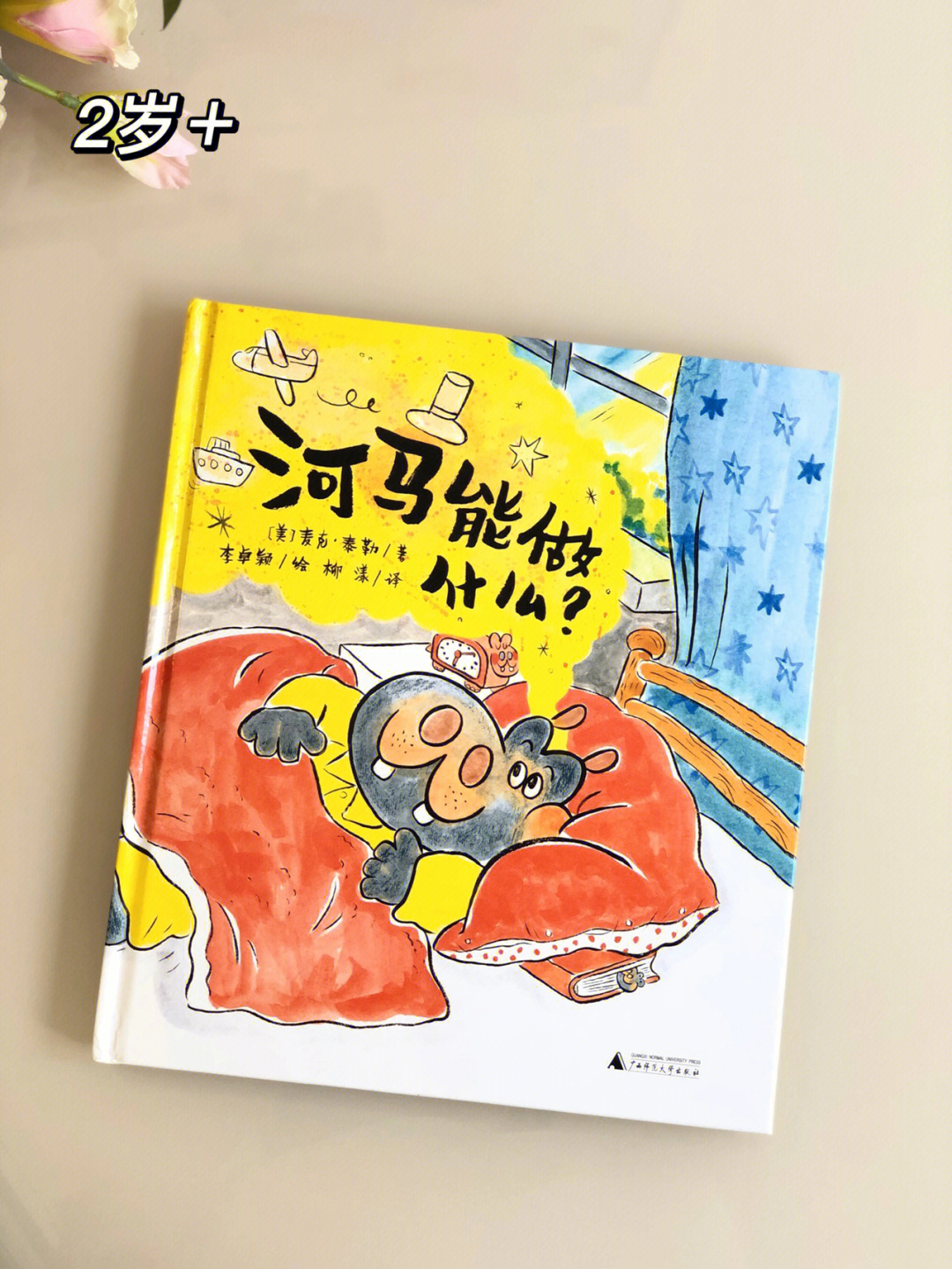 小说河马的河_河马小说_小说河马的门