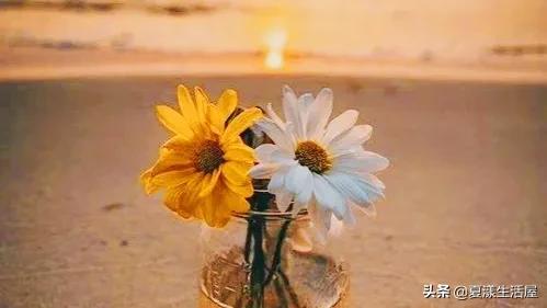 冰冷通灵节杖_节杖_节杖图片