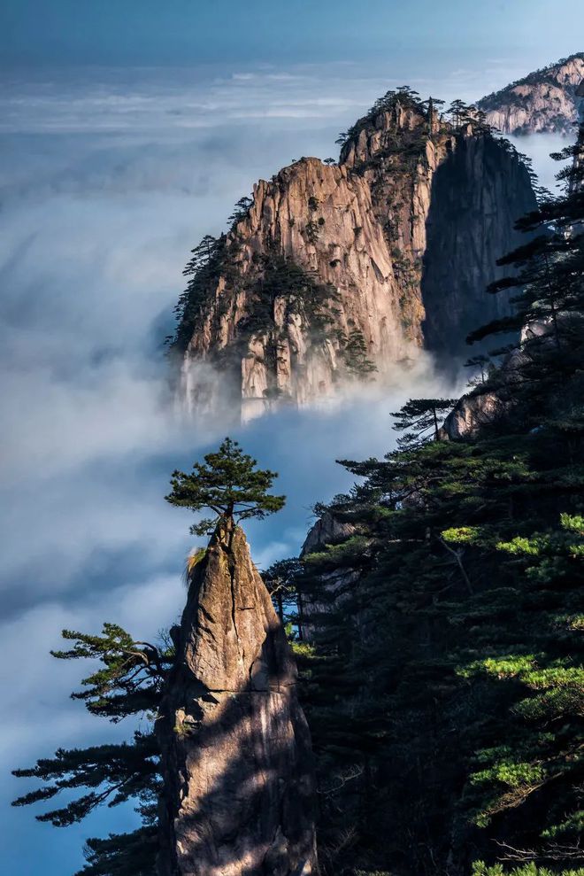 林伟雄林超群邱丽娟_林伟雄林超群_从林