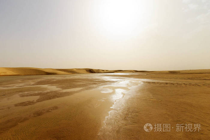 惊险刺激！沙漠探险之旅等你来
