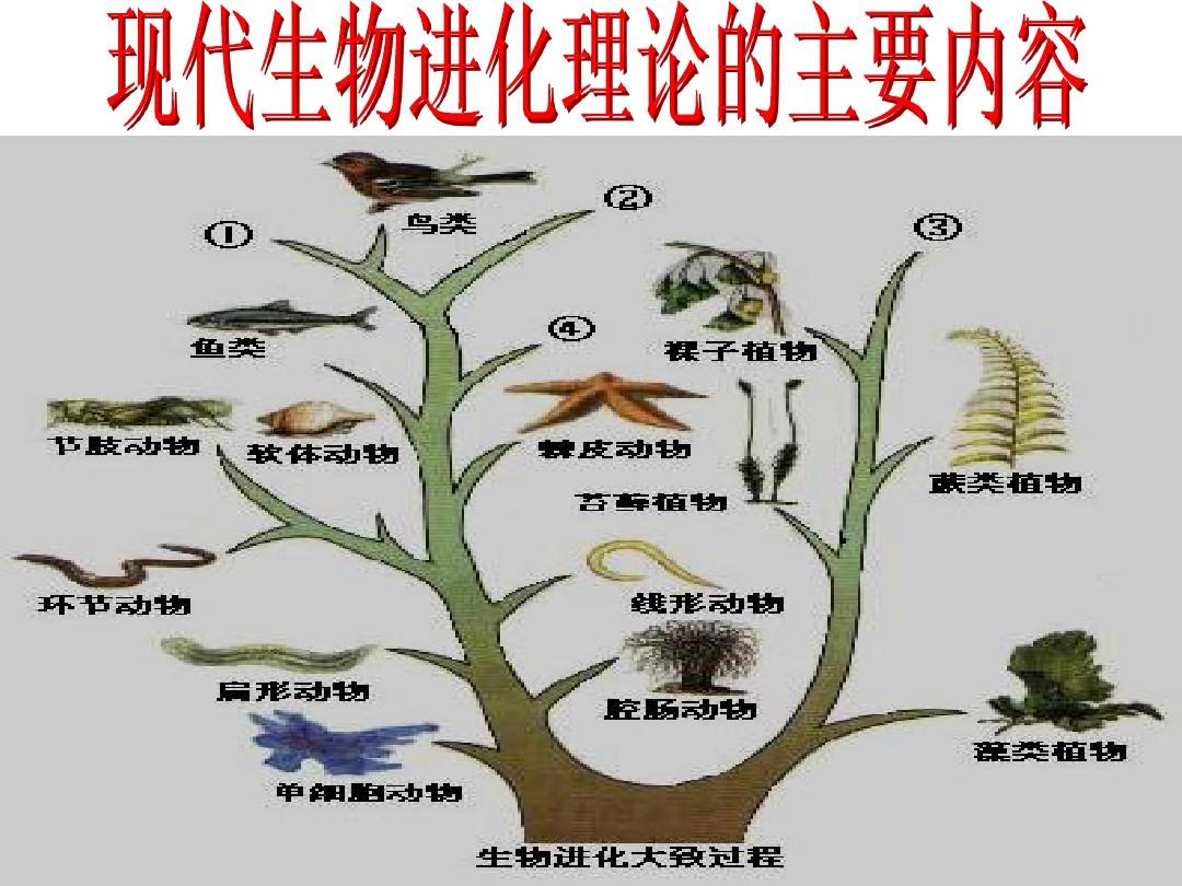 地球进化奇妙生命