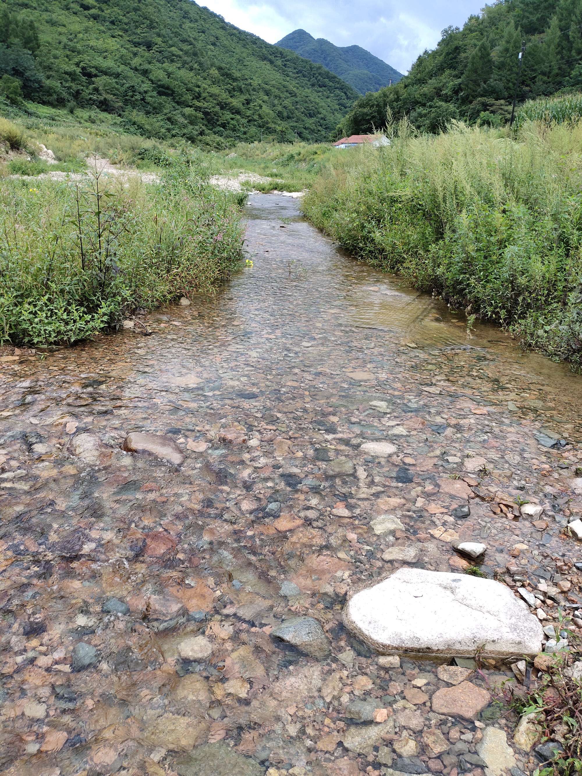 繁殖村庄1.2汉化版免费下载-深山小村庄，探寻人间仙境