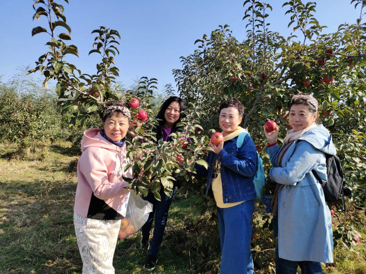 苹果手机下载各种游戏软件-每天都在玩转苹果手机，下载各种游戏